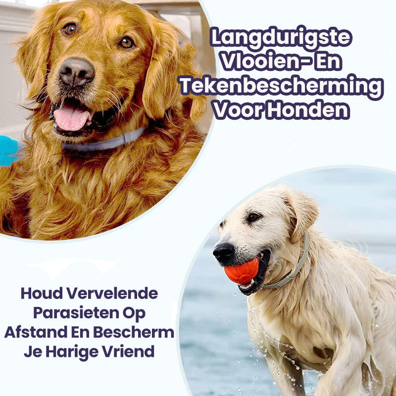 FurrSaver™ | Vlooien en Teek Halsband