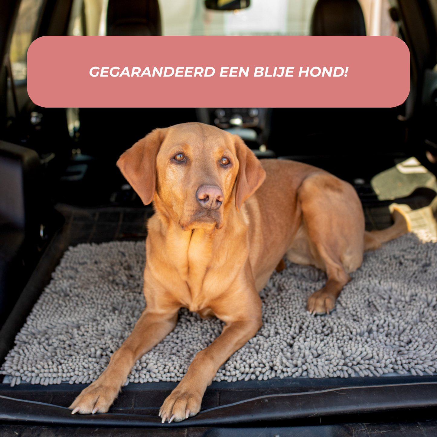 CuddleMat™ | Weg met Modderige Poot afdrukken