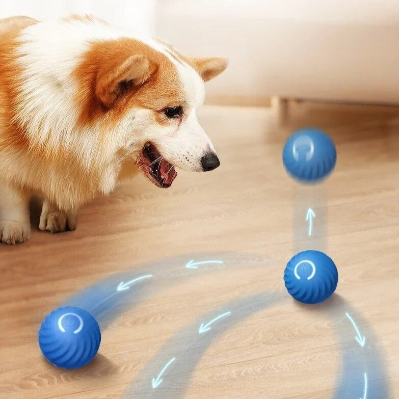 Furbounce™ | Voorkom Verveling en Schade Aan Meubels