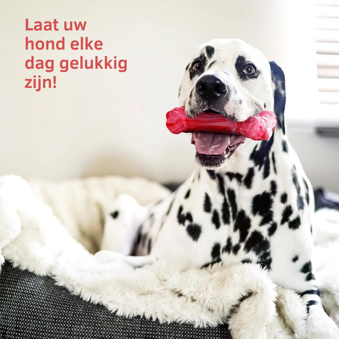 ChewBone™ | Vleesvormige hondentandenborstel
