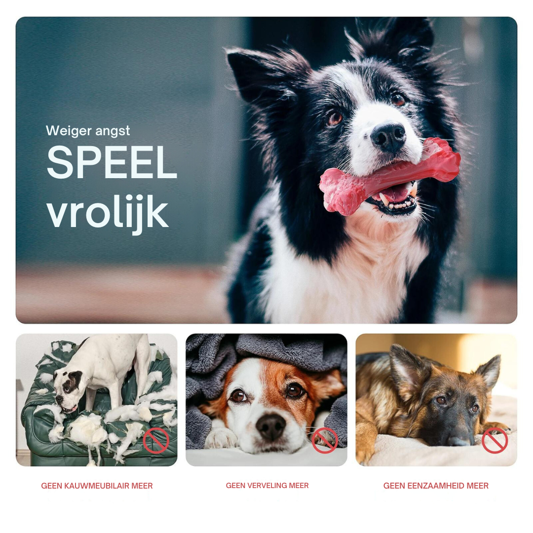 ChewBone™ | Vleesvormige hondentandenborstel
