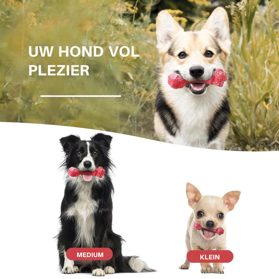 ChewBone™ | Vleesvormige hondentandenborstel