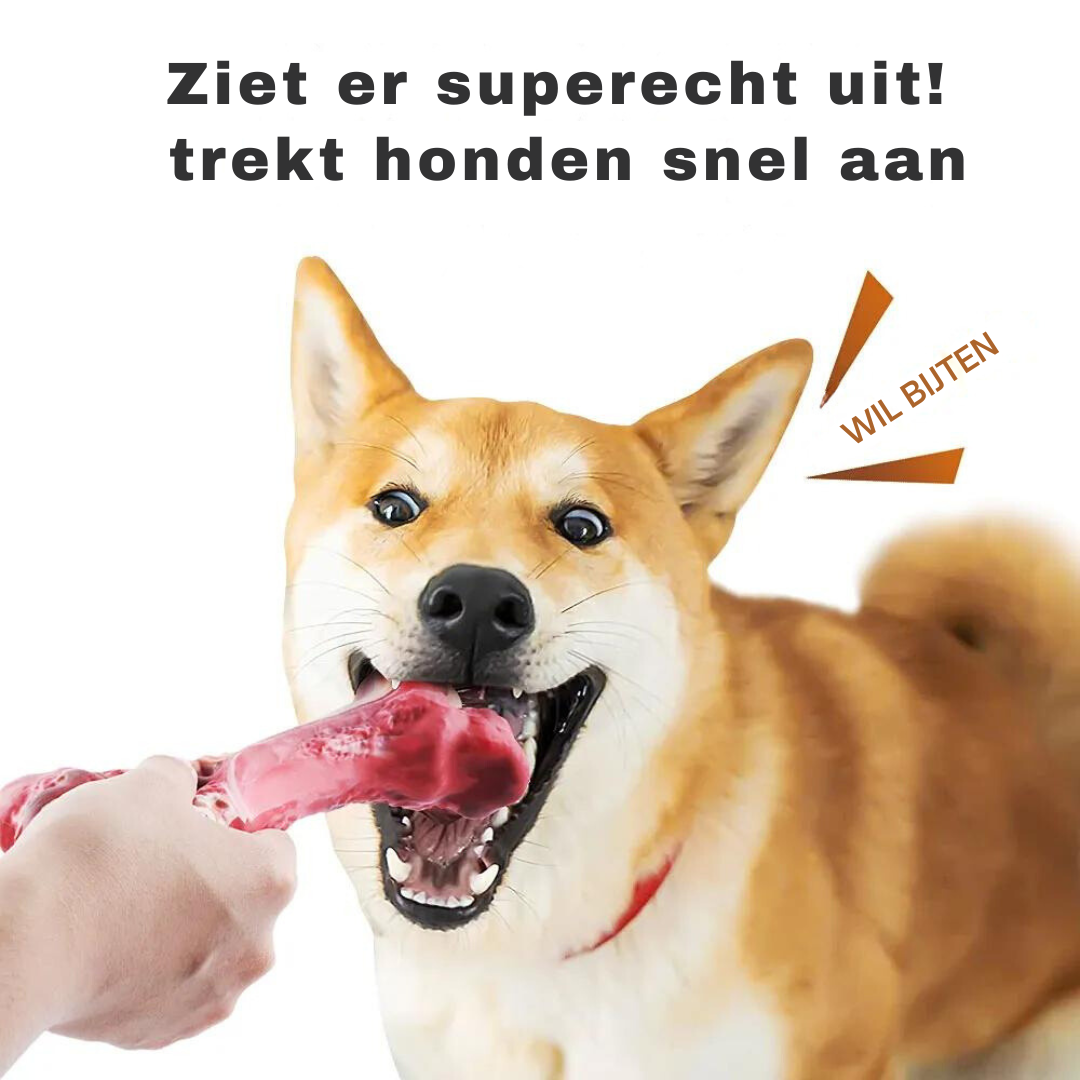 ChewBone™ | Vleesvormige hondentandenborstel