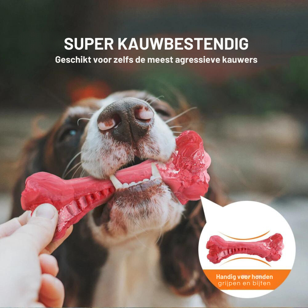 ChewBone™ | Vleesvormige hondentandenborstel