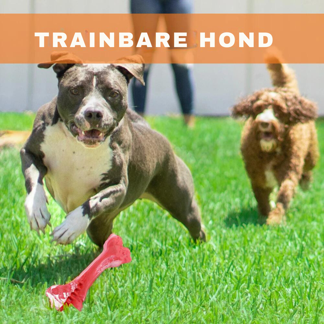 ChewBone™ | Vleesvormige hondentandenborstel