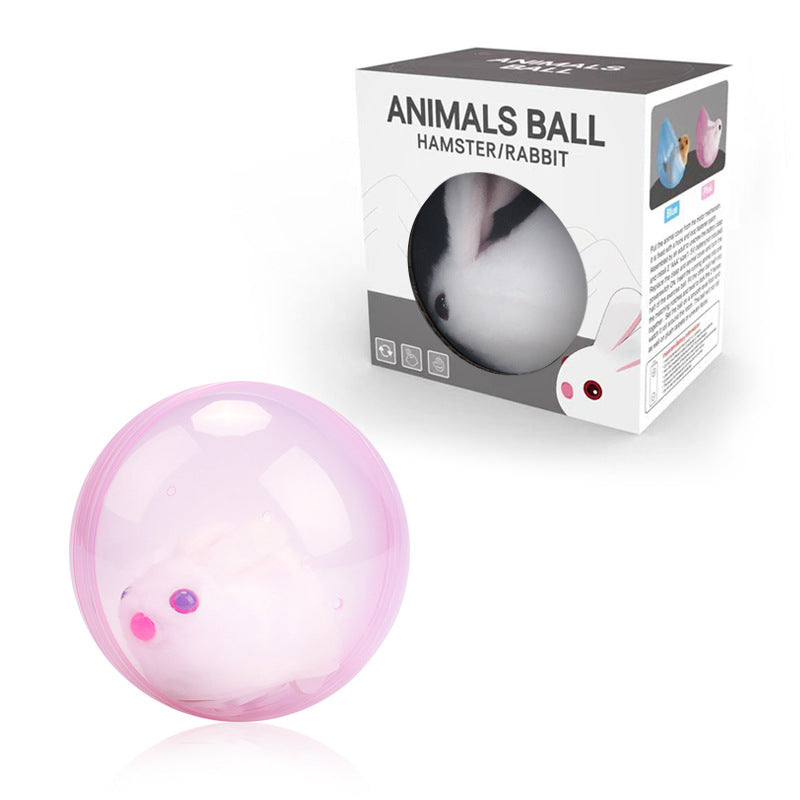 ZoomZing™ | Interactieve bal voor huisdieren