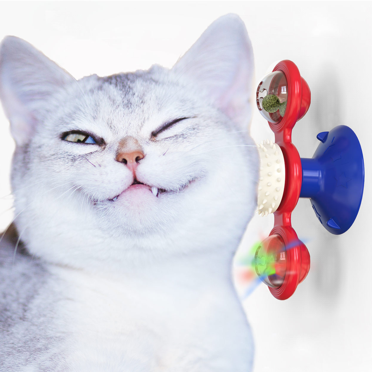 PurrfectPlay™ | Verwen Draaimolen