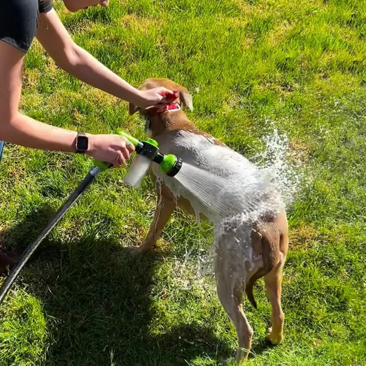 SoapyPaws™ | Ultieme Hondenspa Douchekop