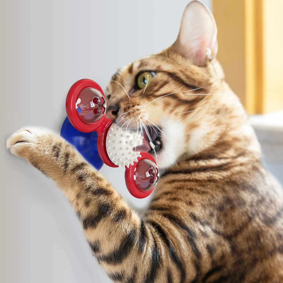 PurrfectPlay™ | Verwen Draaimolen