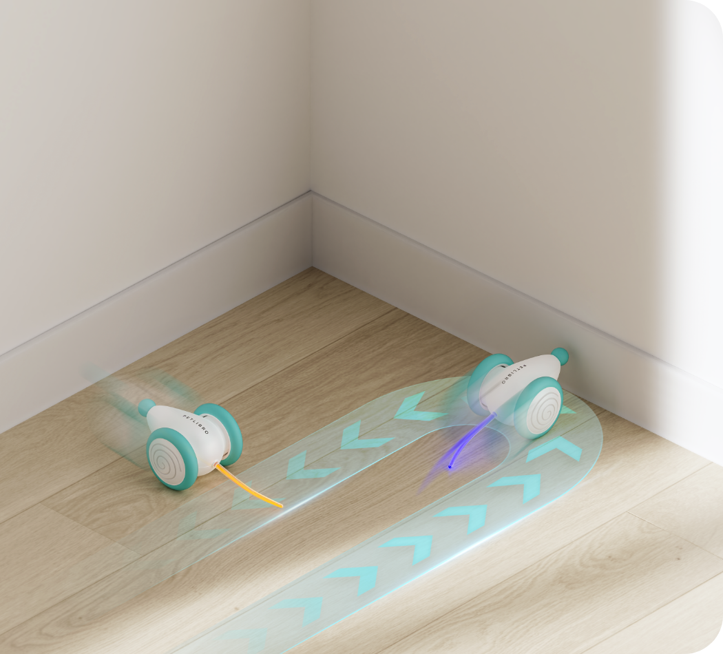 CatRap™ | Houd je kat actief en gelukkig