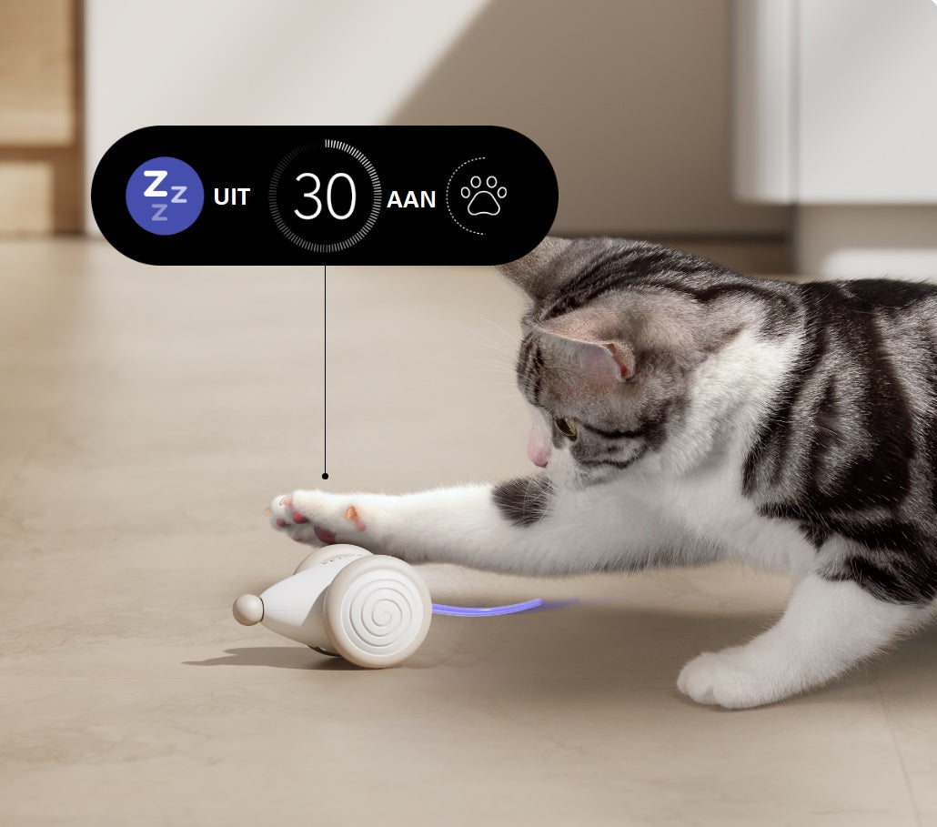 CatRap™ | Houd je kat actief en gelukkig