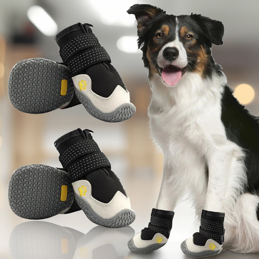 PawCooler™ | Koelende Potenbescherming