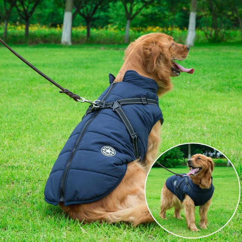 PawsDry™ | Houd Je Hond Warm en Droog