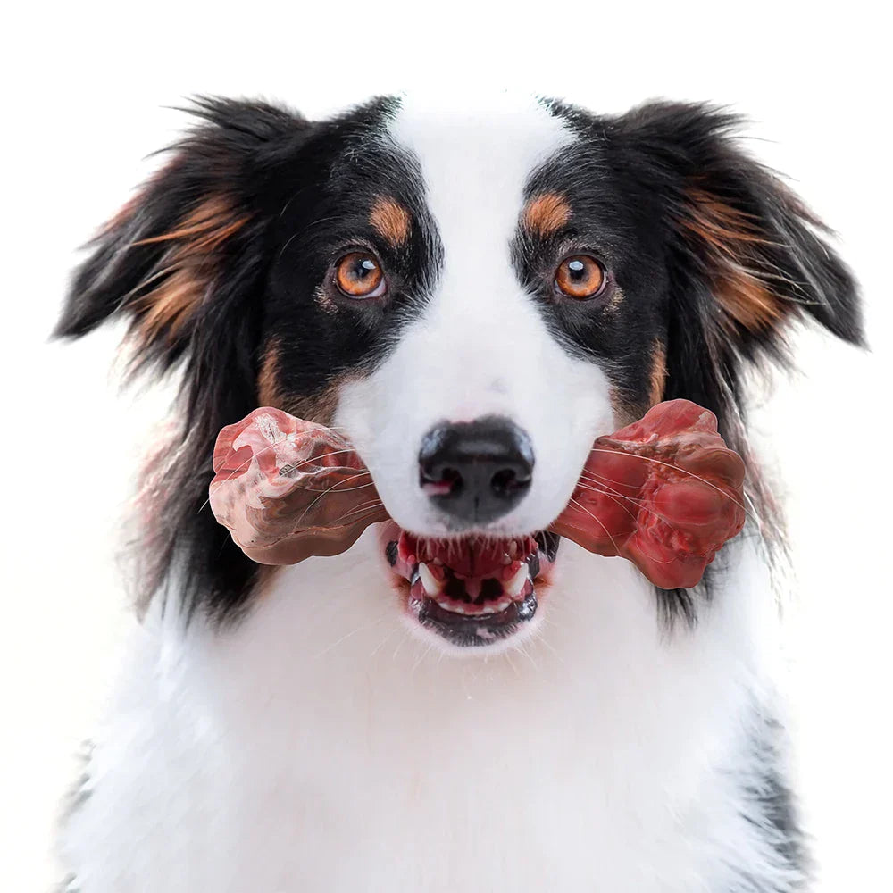 ChewBone™ | Vleesvormige hondentandenborstel