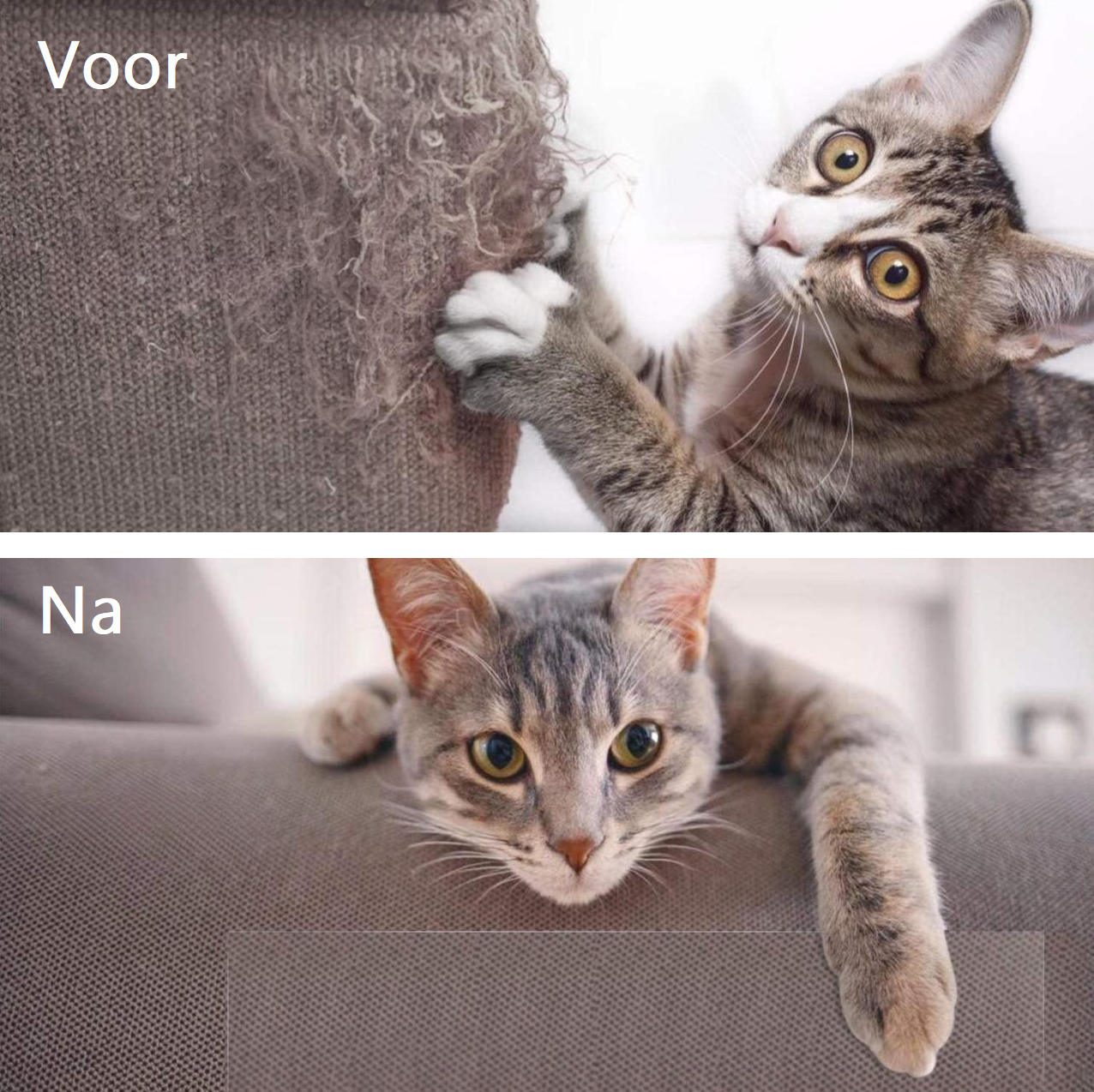 PurrCover™ | Bescherming tegen krassen en kauwen