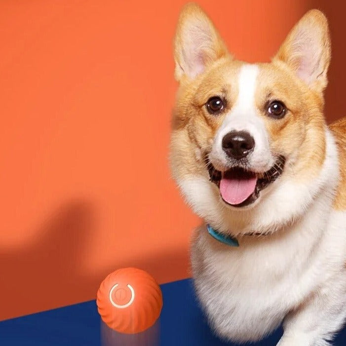 Furbounce™ | Voorkom Verveling en Schade Aan Meubels
