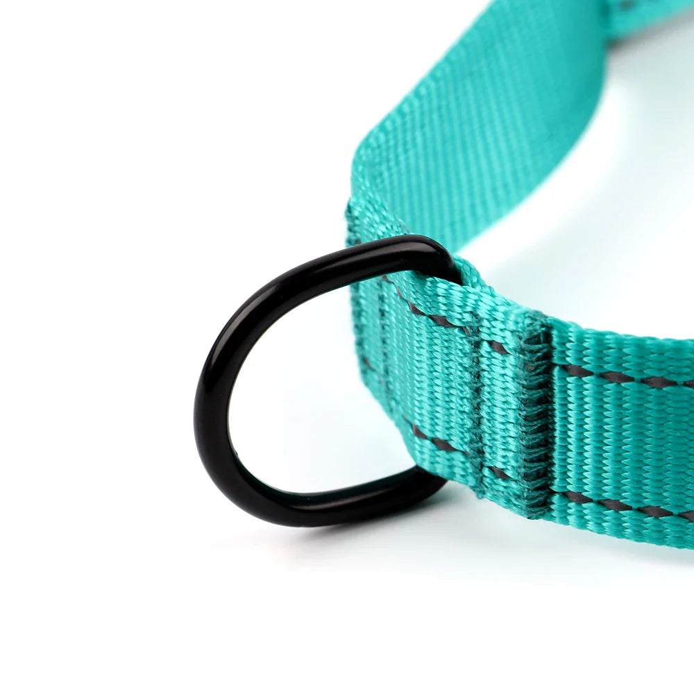 LumaPaw™ | Voor Stressvrije Wandelingen en Volledige Controle