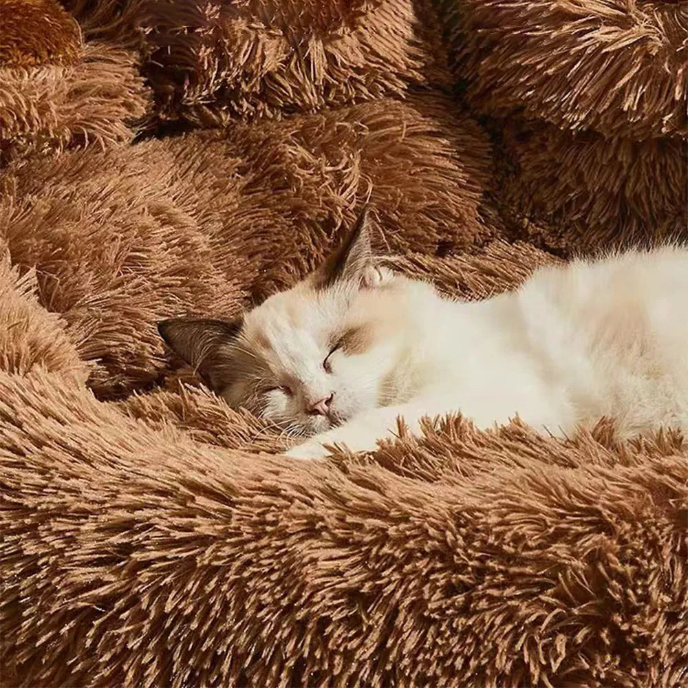 PawSnooze™ | Zorgt Voor Rust en Minder Schade in Huis