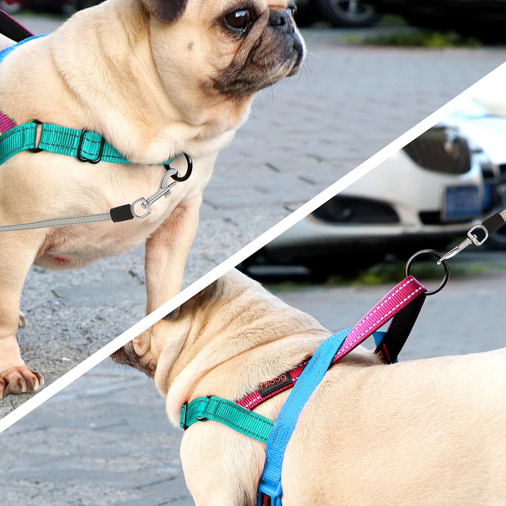 LumaPaw™ | Voor Stressvrije Wandelingen en Volledige Controle