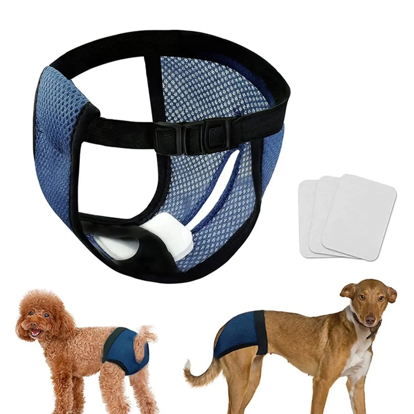 FreshWear™ | Beschermt honden tegen Lekkages