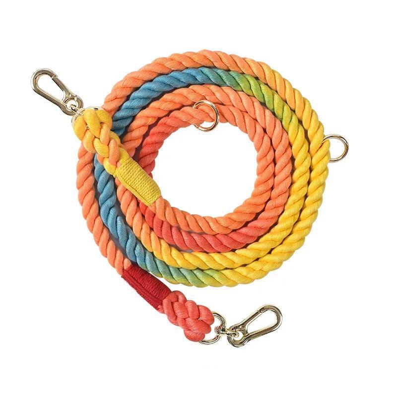 VivaLeash™ | Luxe Gevlochten Hondenriem
