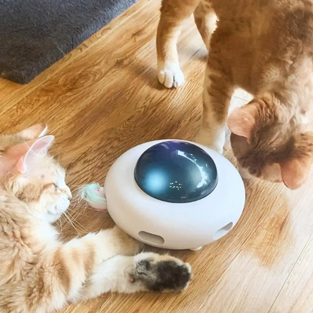 PurrFly™ | Vrolijk en Actief Speelgoed