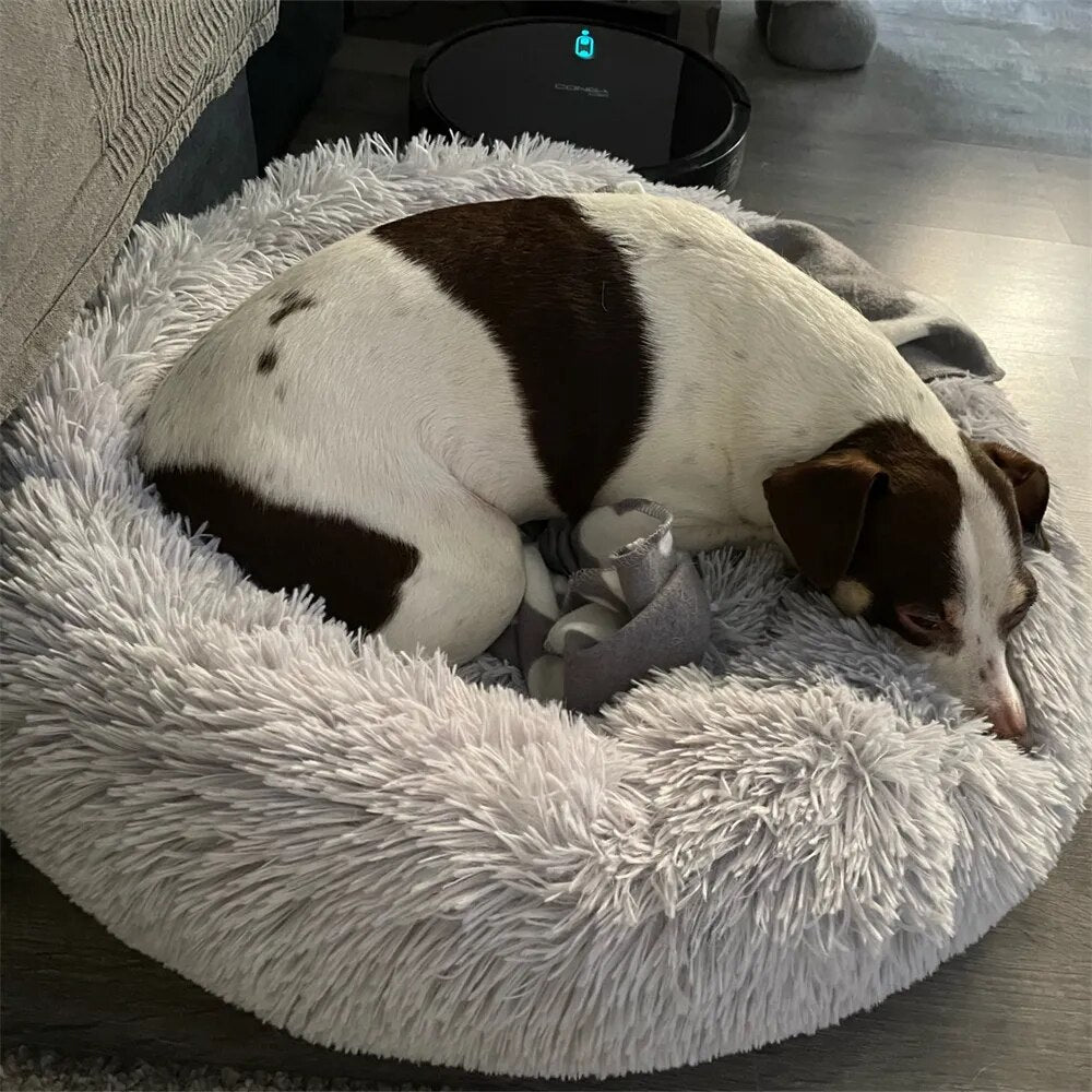 CozyPluche™ | Ultiem Comfort en Knuffelzacht