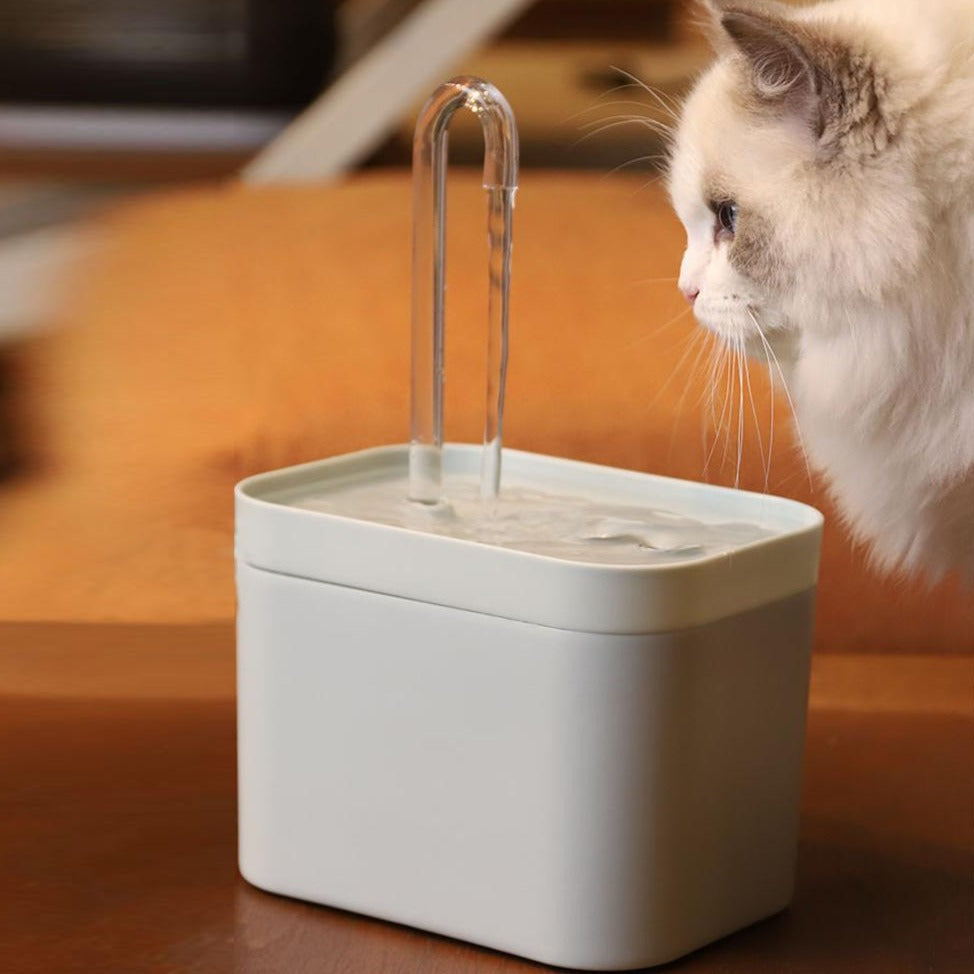 AquaWhisk™ | De Ultieme Hydratatie