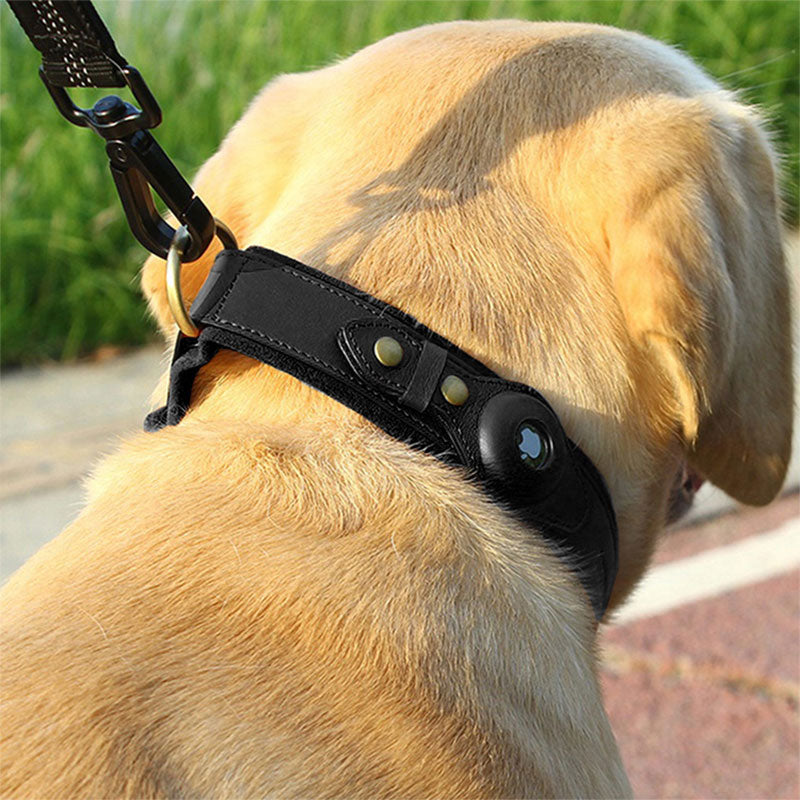 TrackMate™ | Real-Time Tracking Halsband