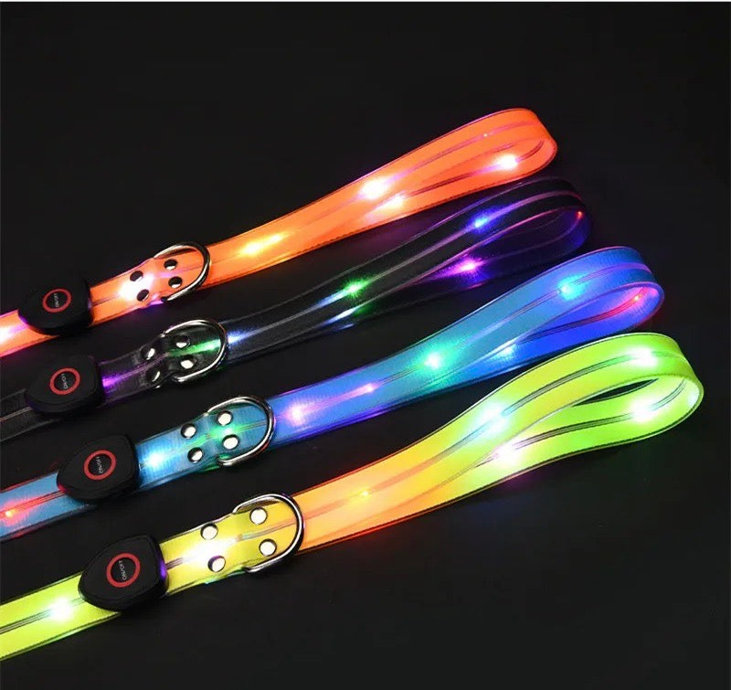BrightPaw™ | Verlicht Elke Stap Samen