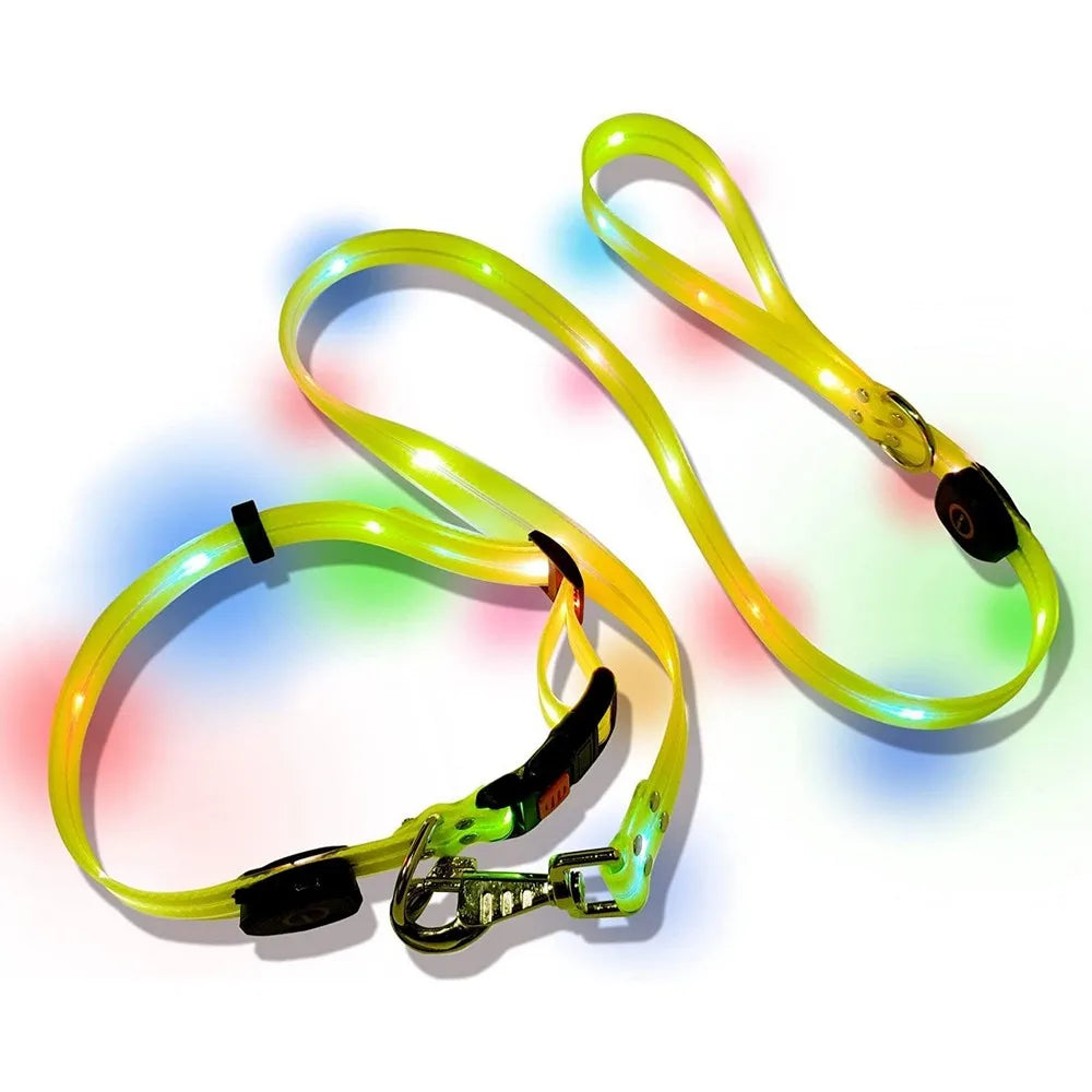 BrightPaw™ | Verlicht Elke Stap Samen