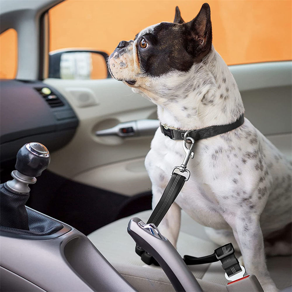 PetGuard Belt™ | Reis Veilig met Jouw Hond