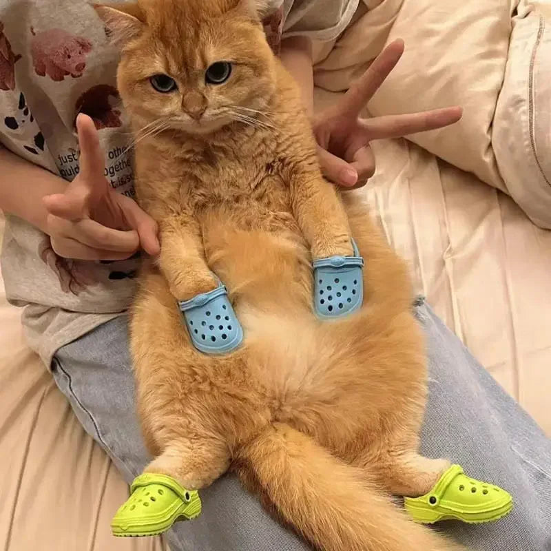 Pawlet™ | Nooit meer wondjes en scheurtjes