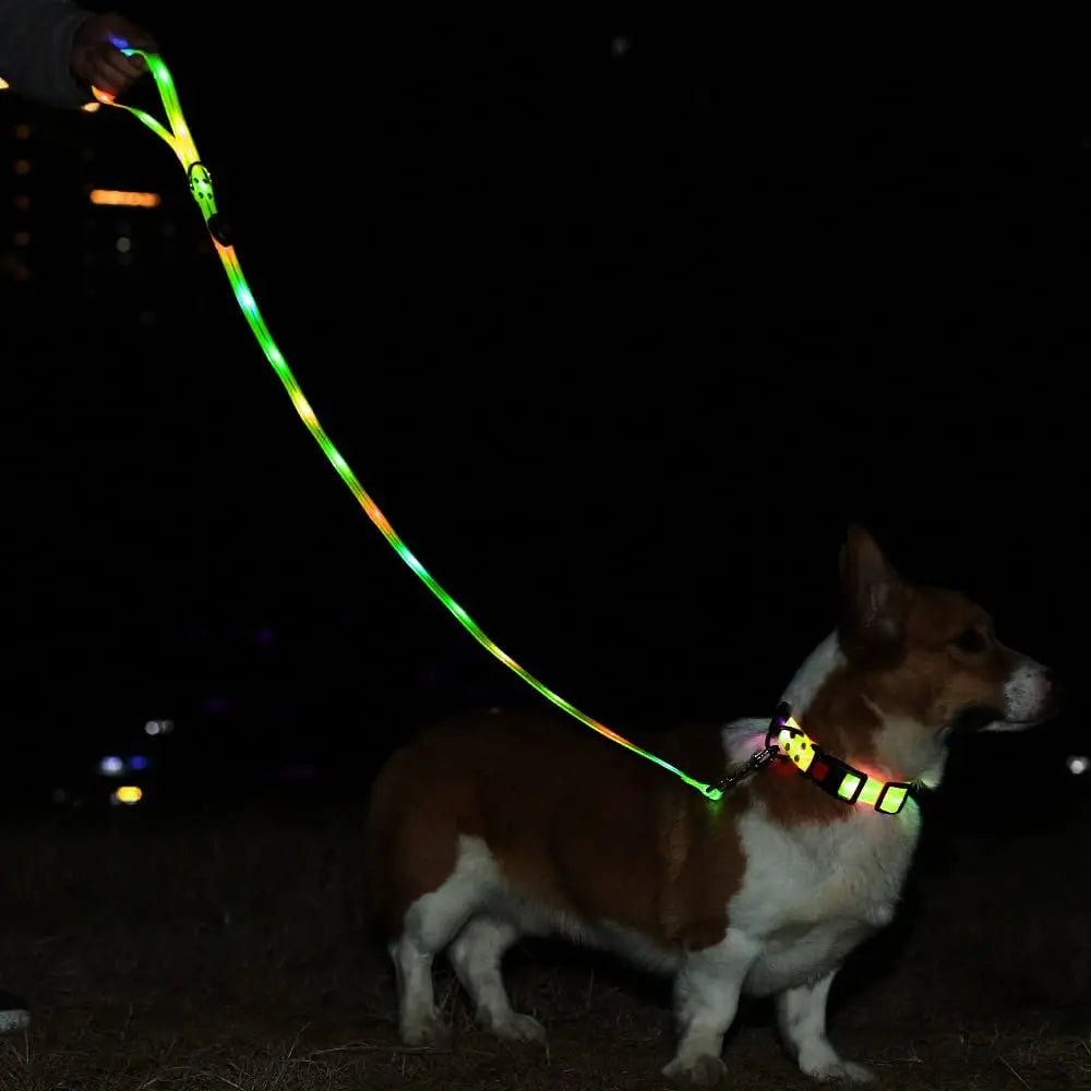 BrightPaw™ | Verlicht Elke Stap Samen