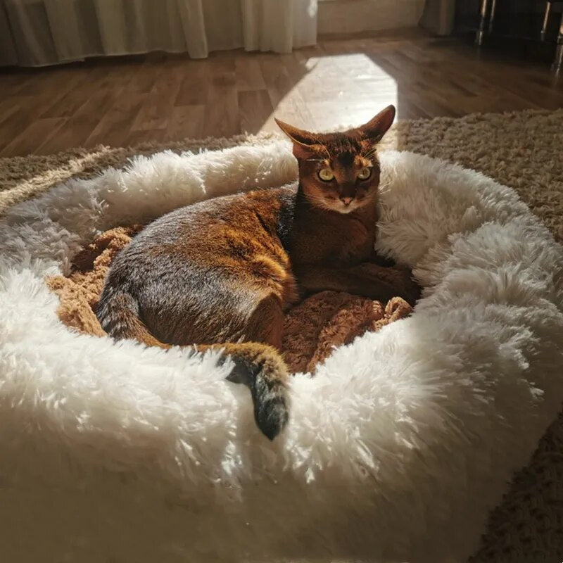 CozyPluche™ | Ultiem Comfort en Knuffelzacht