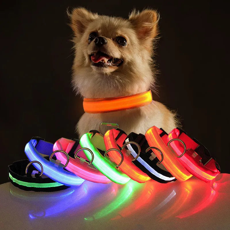 GlowDog™ | Verminder Angst Voor Aanrijdingen