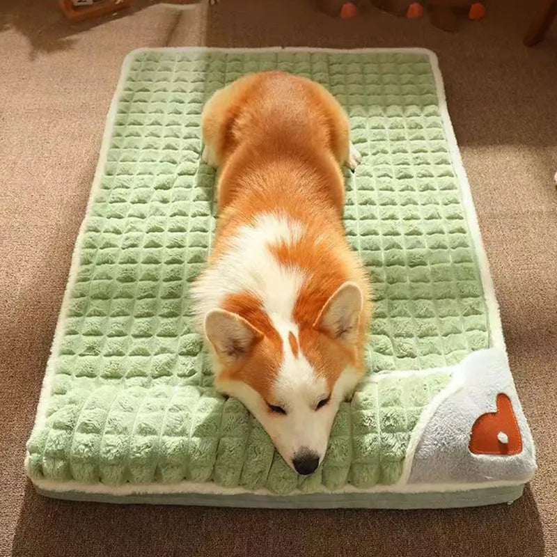 Slaap-Paradijs Voor Honden™ | Orthopedisch & Fluweelzacht