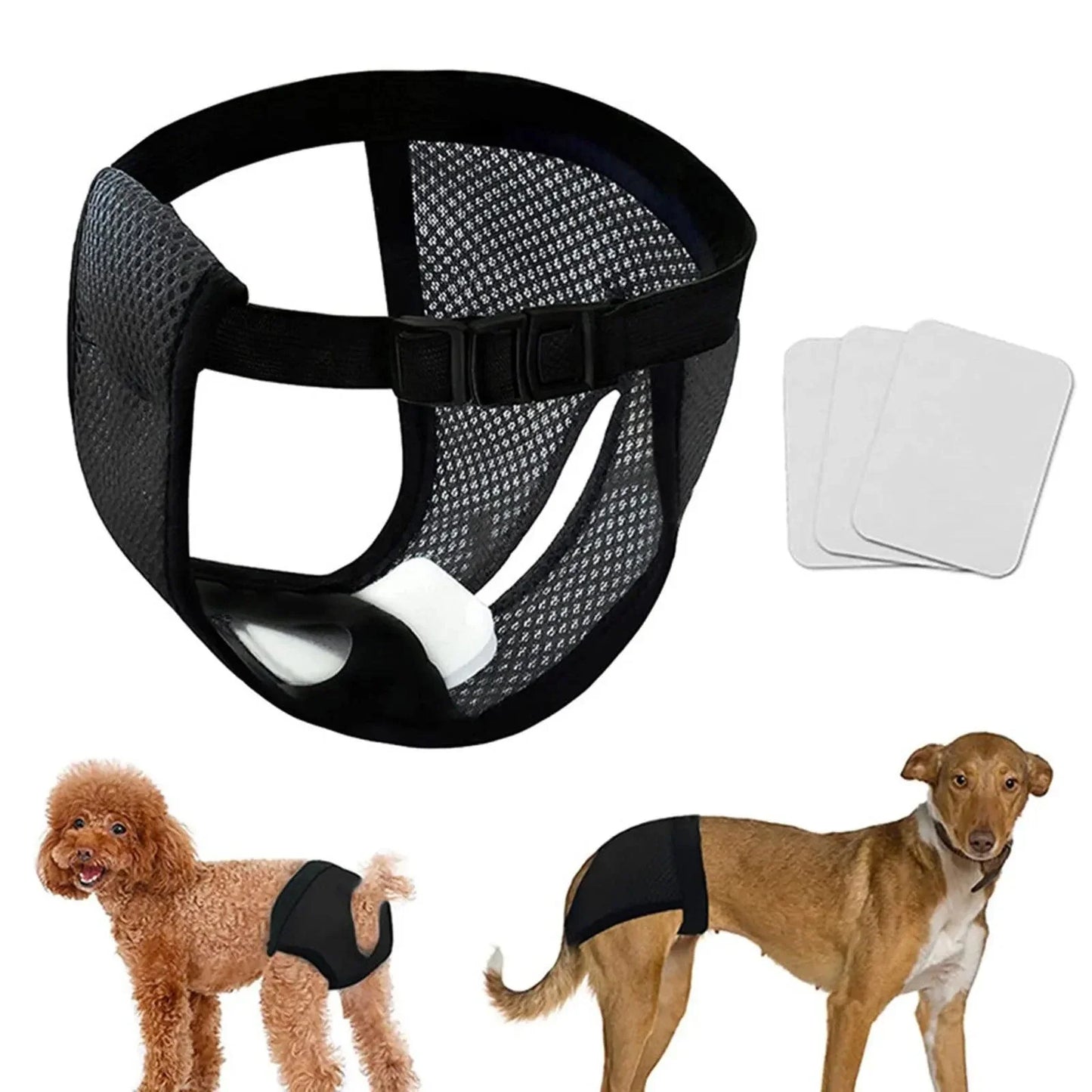 FreshWear™ | Beschermt honden tegen Lekkages