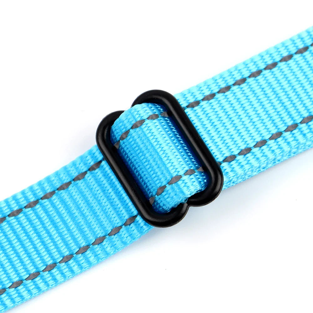 LumaPaw™ | Voor Stressvrije Wandelingen en Volledige Controle