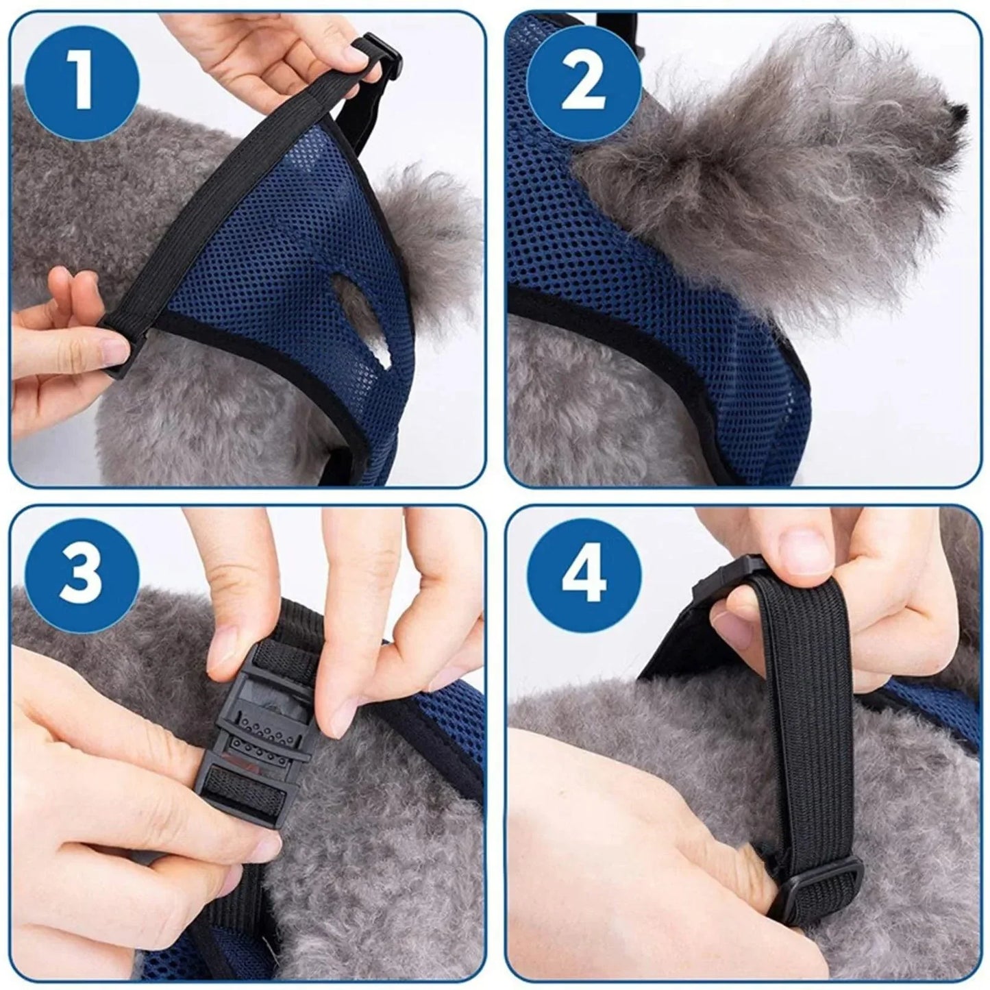 FreshWear™ | Beschermt honden tegen Lekkages