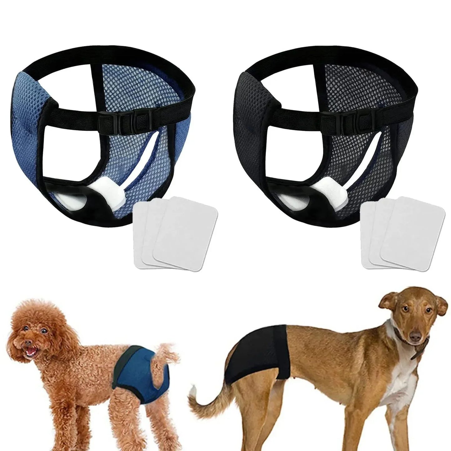 FreshWear™ | Beschermt honden tegen Lekkages
