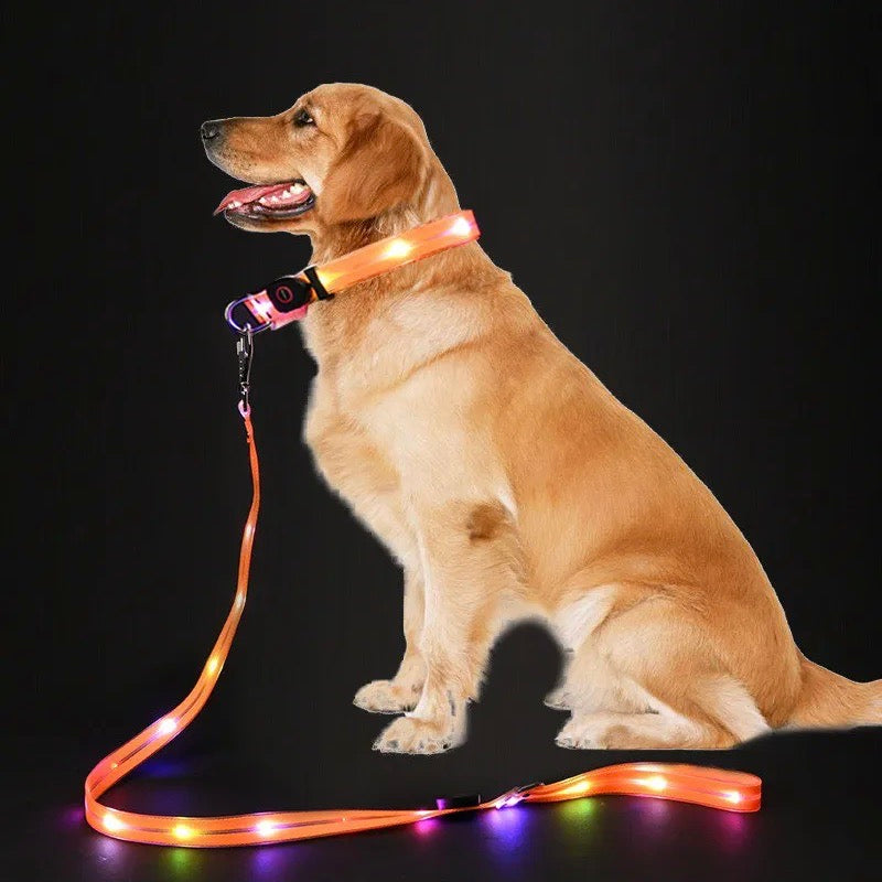 BrightPaw™ | Verlicht Elke Stap Samen