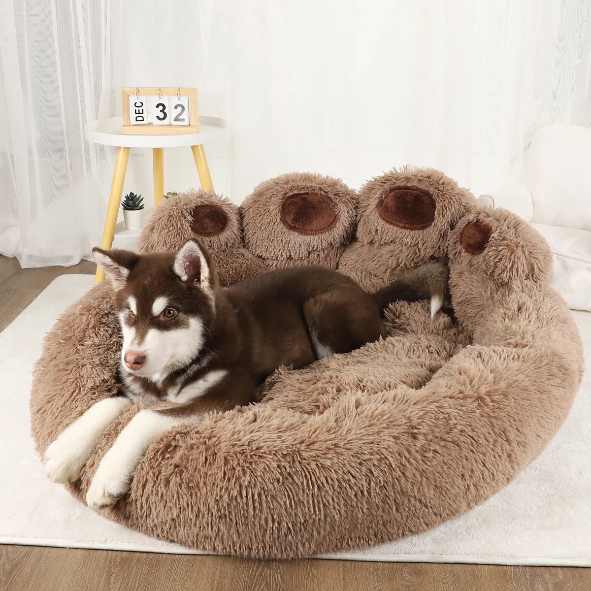 PawSnooze™ | Zorgt Voor Rust en Minder Schade in Huis