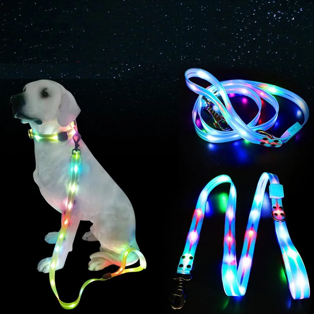 BrightPaw™ | Verlicht Elke Stap Samen