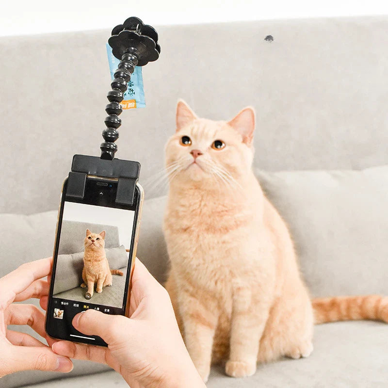 PawPose™ | Draagbaar en Professioneel