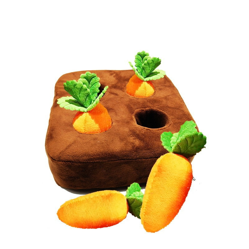 CozyCraze™ | Wortel Snuffelveld