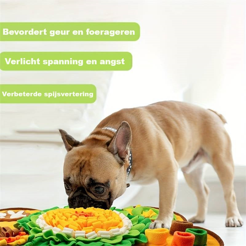 SnackSeeker™ | 3-in-1 Hondensnuffelmat