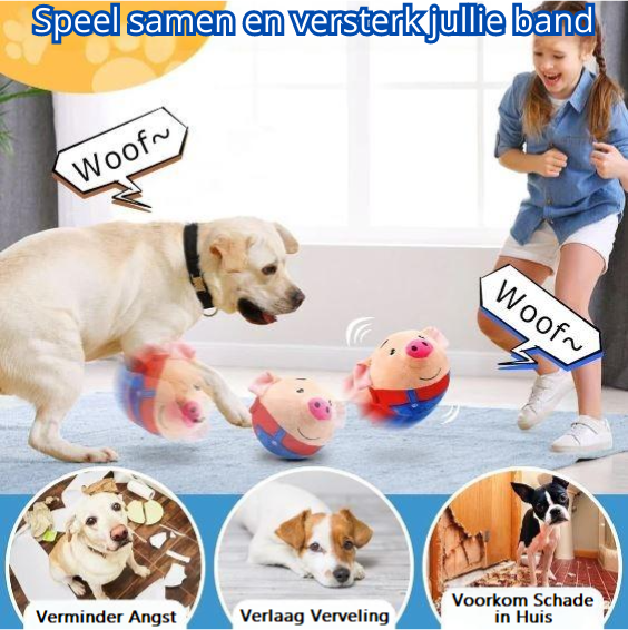 BouncePup™ | Stop Verveling en Bescherm Je Meubels