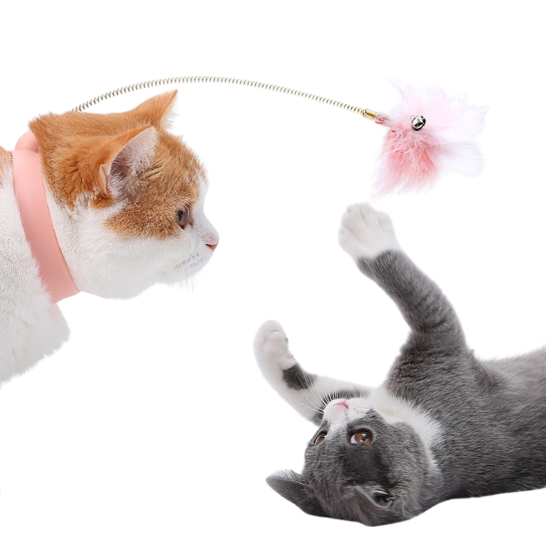 PawSpark™ | Stimuleert beweging en vermindert kattenstress