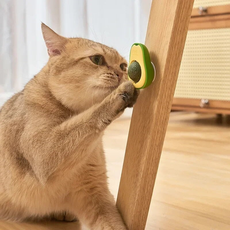 TropicalPaws™ | 1+1 Gratis